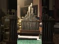 Organ clock