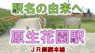 【原生花園(JR釧網本線)】オホーツク海と湯沸湖に挟まれた自然のお花畑！！【由来紀行267北海道】