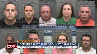 Deputies bust three-county drug ring