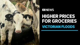Crops flattened and milk down the drain — the impact of flooding on farmers | ABC News