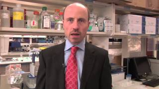 What is Myelodysplastic Syndrome (MDS)? - Mayo Clinic