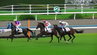 フォックスクリーク、メイショウマンカイなど新馬戦の馬場入場、返し馬。現地映像、京都競馬場