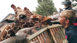 FORGET BABIES! Funny KIDS vs ZOO ANIMALS ARE WAY FUNNIER! - TRY NOT TO LAUGH Cha