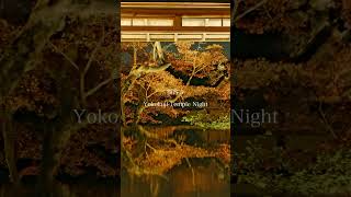 京都西山・柳谷観音ライトアップ Kyoto Nishiyama Youkokuji Temple for Illumination of Autumn Foliage