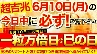 ”一粒万倍日＋巳の日”の本日中に必ずご覧ください⚠️【6月10日(月)大大吉日】負の連鎖払拭※高次のサポートと強力に結びつき奇跡展開へと導かれていく！⭐️【奇跡が起こる高波動エネルギー・邪気祓い動画】