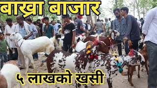 बाख्राकाे बजार जुन हरेक शनिबार लाग्ने गर्दछ||Goat market at birdpur India