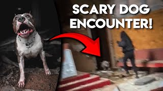 Stray PIT BULL Traps Us Inside of Abandoned Church!! - Urban Exploration GONE WRONG