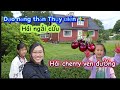 🇸🇪326/Nông thôn Thụy Điển cherry ,Ngải cứu đầy đường/ Vắng hoe Không Người