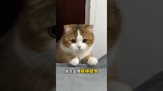 养猫人会得的病，看看你中招了吗？＃猫咪冷知识＃新手养猫＃养猫知识＃养猫日常＃养猫经验＃科学养猫＃养猫人＃养猫经验分享＃宠物＃萌宠＃猫咪＃cat＃宠物日常＃宠物知识＃分享养宠经验＃猫咪的迷惑行为