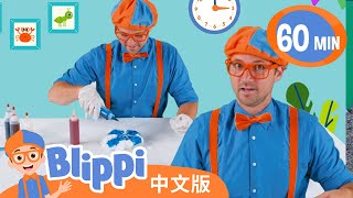 比利皮学习颜色知识并制作扎染衣服 | Blippi Learns About Colours | Blippi 中文版 | 儿童教育视频 | 实景探索