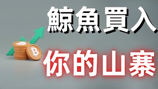 比特币、ETH强势反弹，狗狗币、ADA能否抵挡风险？山寨币的未来会如何？