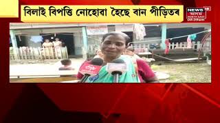 Nazira News | নাজিৰাত কলাগুৰুলৈ শ্ৰদ্ধা কৃষক শিল্পীৰ, ঘাঁহ কাটি বিশাল ছবি আঁকিলে  জয়খামদাং পথাৰত