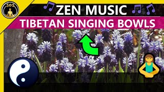 Zen 🧘 | Tibetan Ambient Music ☮ | Bell Sounds to calm your racing thoughts 🙏 acmp