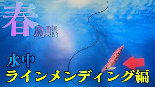 エギング【これができる人はアタリを見逃しません。水中のラインメンディング、アタリを解説、メンディングを簡単にマスター。】２０２２　２月