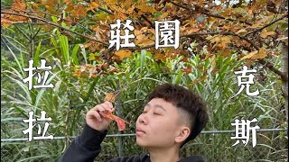 第五露｜拉拉克斯莊園｜開新帳coleman MDX+  更新許多裝備camping Vlog NO.5