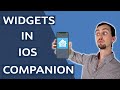 Home Assistant iOS Widgets - Companion App