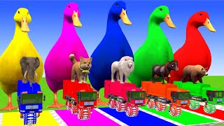 5 Giant Duck Cartoon,Cow,Elephant,Tiger,Lion,Gorilla, Paint Wild Animals Crossing Fountain Animation