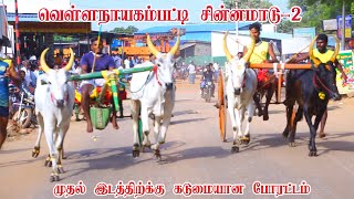 சின்னமாடு-2 வெள்ளநாயகம்பட்டி பந்தையம் 07.12.2024