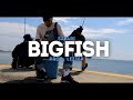 SAFARI - BIG FISH 🐟 (Prod. Lezter)