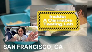 Inside: A California Cannabis Testing Lab