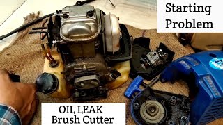 Brush Cutter OIL LEAK Starting Problem | How To Repair Brush Cutter