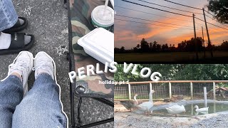 travel to perlis vlog🌾|| padang besar , taman ular , wang kelian , pasar terapung