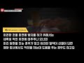 주식성공사연｜산전수전 공중전까지 다 겪은 단타매매자의 세력주 폭등주 알아내는 방법｜주식고수의 투자 의사결정의 과정 1부