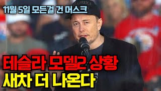 테슬라 모델2 말 나오는 이유..새차 더 나온다, 11월 5일에 모든 걸 건 머스크