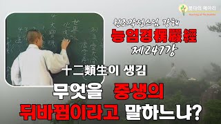 각성스님 강해_능엄경 제247강 / 12류생이 생김 - 무엇을 『중생의 뒤바뀜』 이라 말하느냐?