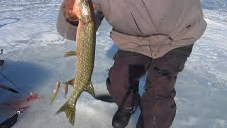 Ice fishing at Island lake Orangeville by Vidya Gopaul