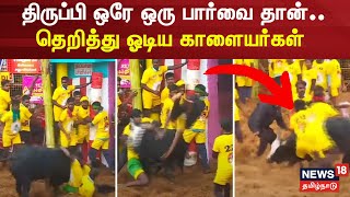 திருப்பி ஒரே ஒரு பார்வை தான்.. தெறித்து ஓடிய காளையர்கள் | Palamedu Jallikattu Madurai | Pongal 2025