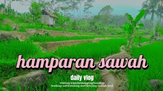 Cinematic hamparan sawah pegunungan l nature Cinematic vidio