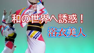 【阿波踊り2024】美しき阿波踊りの世界へ！浴衣美人