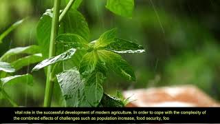 Integrated Plant Breeding Strategies for Harmony between Modern Agriculture Production