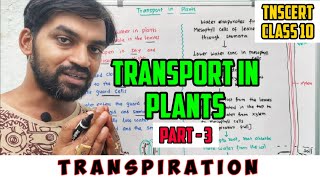 Transport in Plants | Part 3 | Transpiration