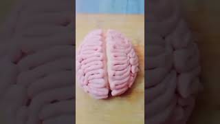 brain model🧠with maida flour#schoolactivity#