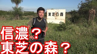 信濃の森？東芝の森？【南米】パラグアイのイグアス日本人居住地！日本人の偉業！海外へのODAによる資金や技術援助、JICAによる支援など日本は世界各国に貢献