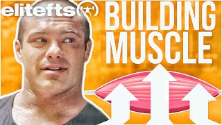 Why Is Building Muscle So Hard ? Mike Israetel | Renaissance Periodization