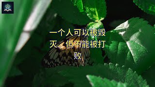 一个人可以被毁灭，但不能被打败