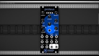Generative Patch From Scratch with Proteus
