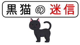 【黒猫の迷信】なぜ不吉と言われてしまうのか？#猫 #雑学 #豆知識 #迷信 #噂 #うんちく #トリビア