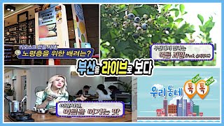 부산에서 만나는 여름과일 /이열치열, 여름을 이기는 맛 /키오스크 만능 시대, 노령층을 위한 배려는/부산MBC 생방송 부라보 20200807