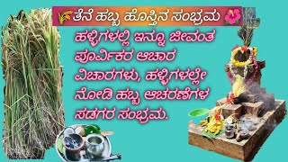 ತೆನೆ ಹಬ್ಬ ಕರಾವಳಿಯ ಹೊಸ್ತಿನ ಆಚರಣೆ. Tene festival is a coastal celebration.