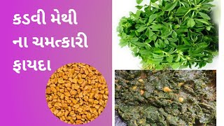 કડવી મેથી ના ચમત્કારી ફાયદા તથા મેથી ની ભાજી બનાવવા ની રીત