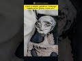 mexico aliens are true வேற்றுகிரகவாசிகள் இருப்பது உண்மை shorts ytshorts shortsfeed aliens