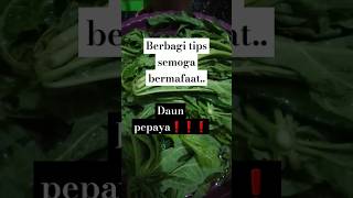 Daun pepaya agar tdk terlalu pahit#yuk di  simak yuk #fypviral #shortvideo