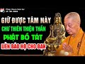 Ai Giữ Được Tâm Này Thì Chư Thiên Thiện Thần, Chư Phật Bồ Tát Liền Bảo Hộ - HT. Thích Trí Quảng