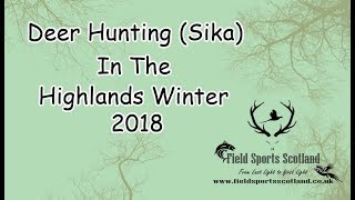 Sika Hind Hunting in the Highlands, Winter 2018