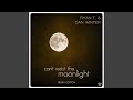 Can't Resist the Moonlight (Voggi & Baseto Extended Remix)