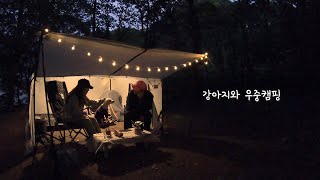 강아지와 우중캠핑🐶☔🏕 이상과 현실 사이